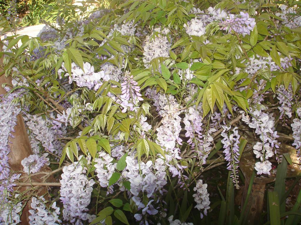 招待所 Sitio Nossa Senhora De Loreto